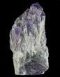 Elestial Amethyst Crystal Point - Brazil #64743-3